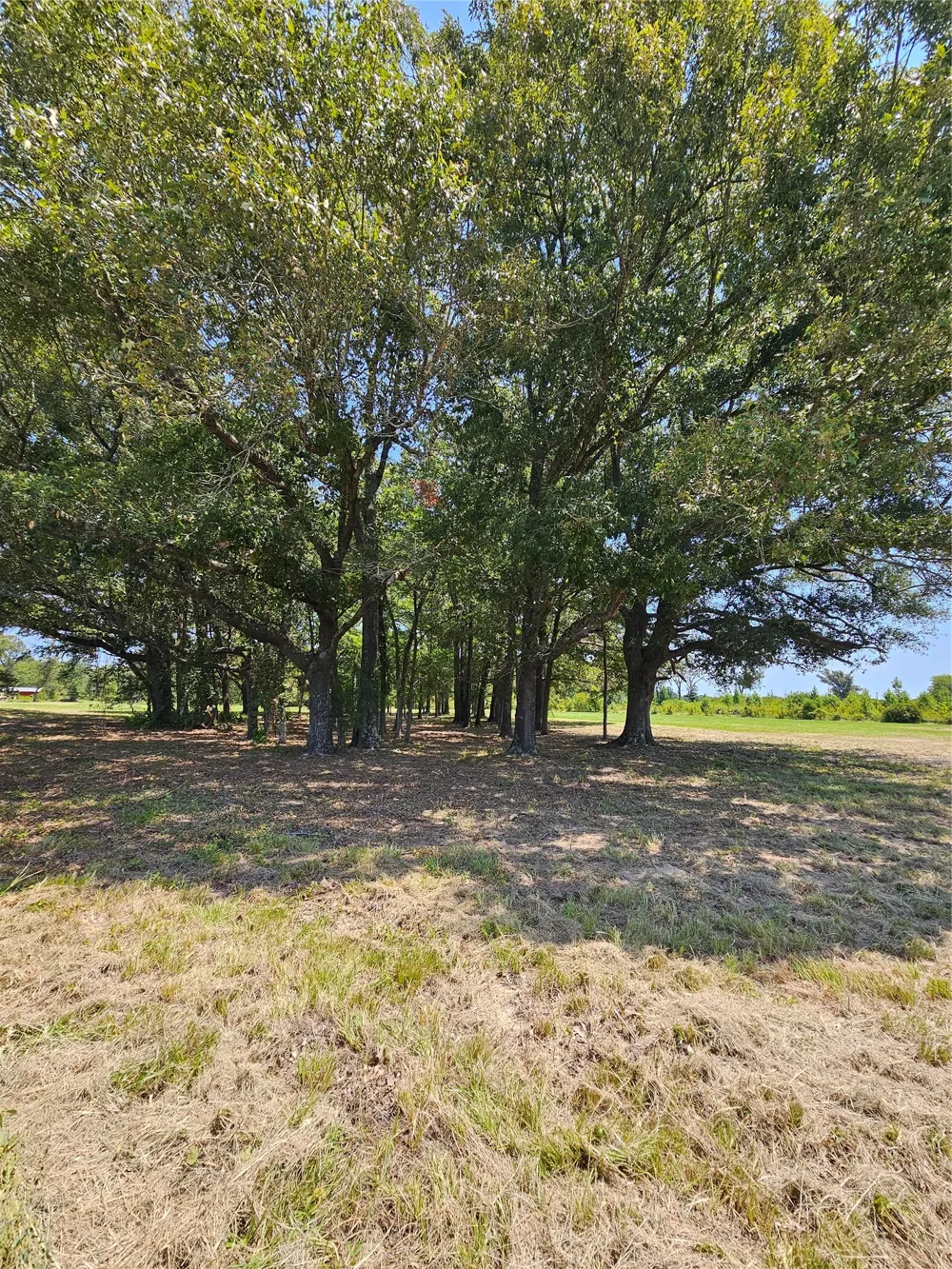 951 County Road 3800 Athens, TX 75752