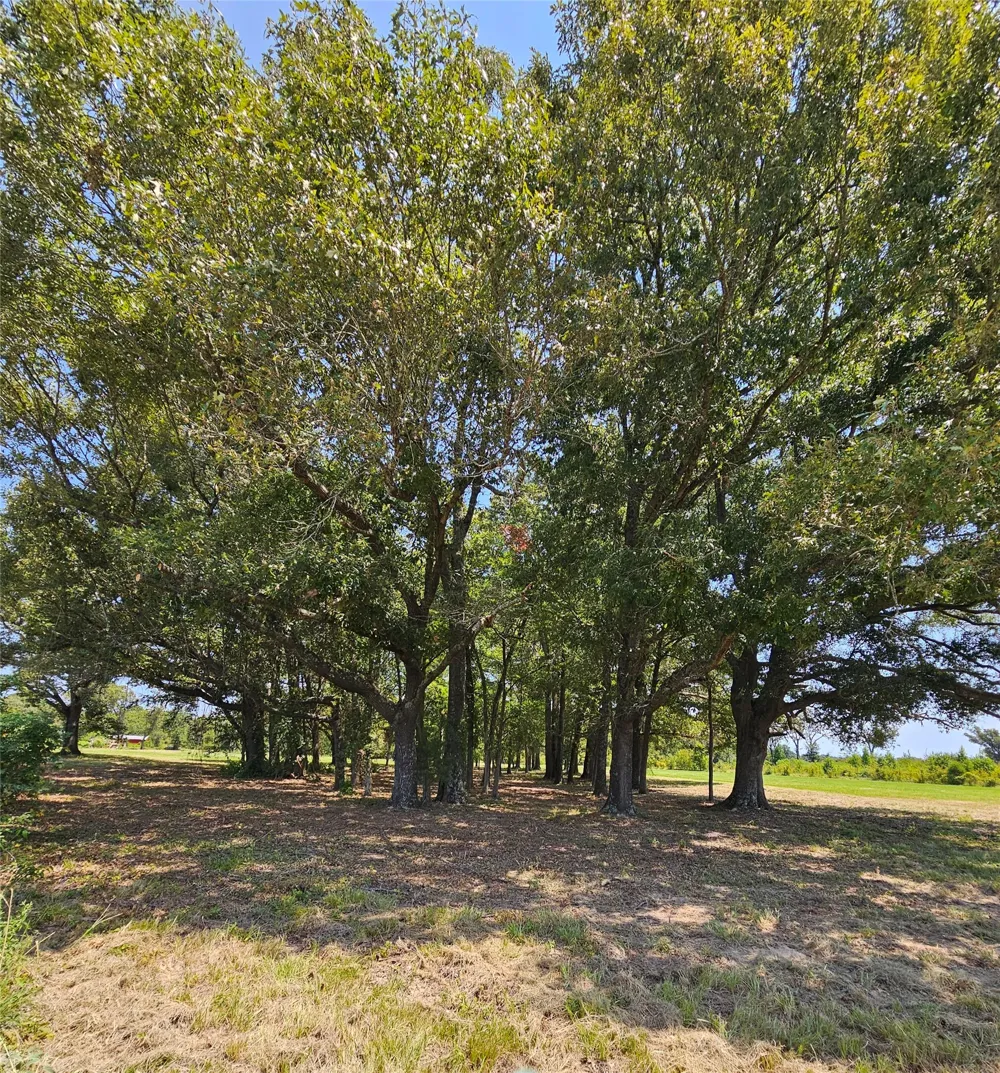 951 County Road 3800 Athens, TX 75752