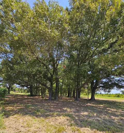 951 County Road 3800