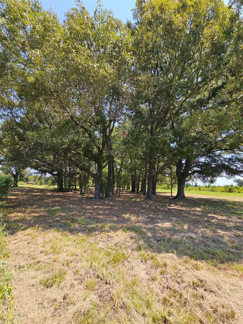 951 County Road 3800 Athens, TX 75752
