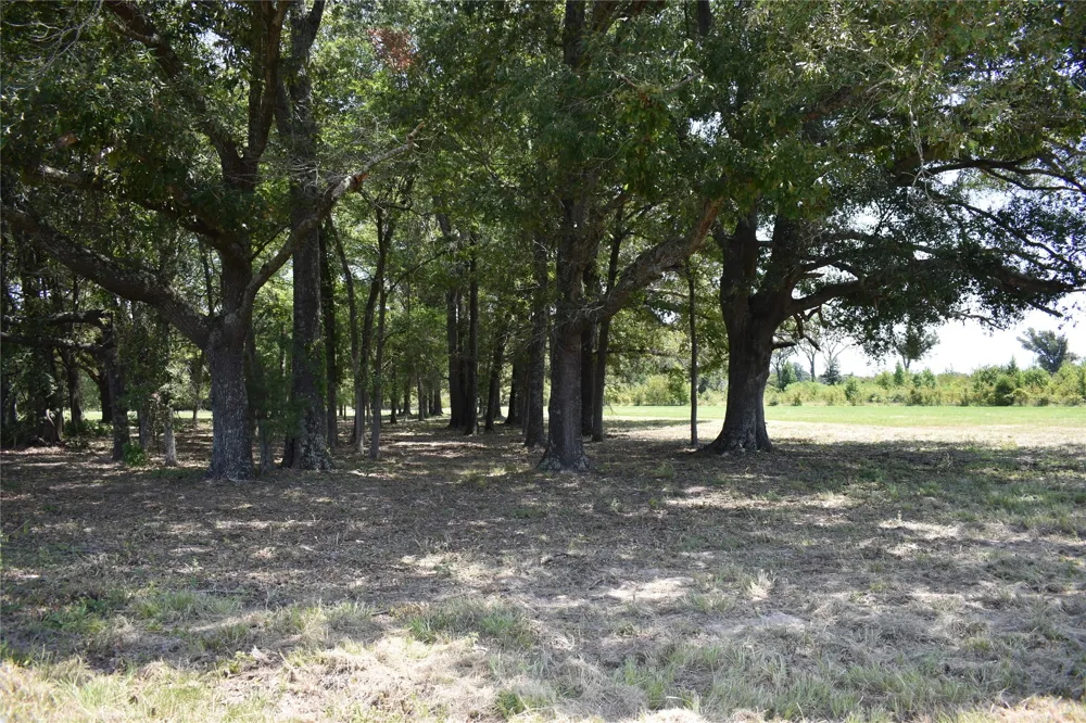 951 County Road 3800 Athens, TX 75752