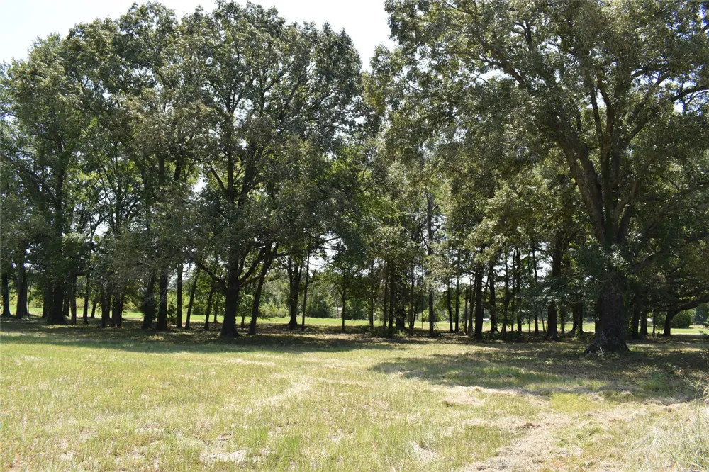 951 County Road 3800 Athens, TX 75752
