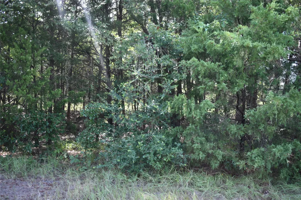 951 County Road 3800 Athens, TX 75752