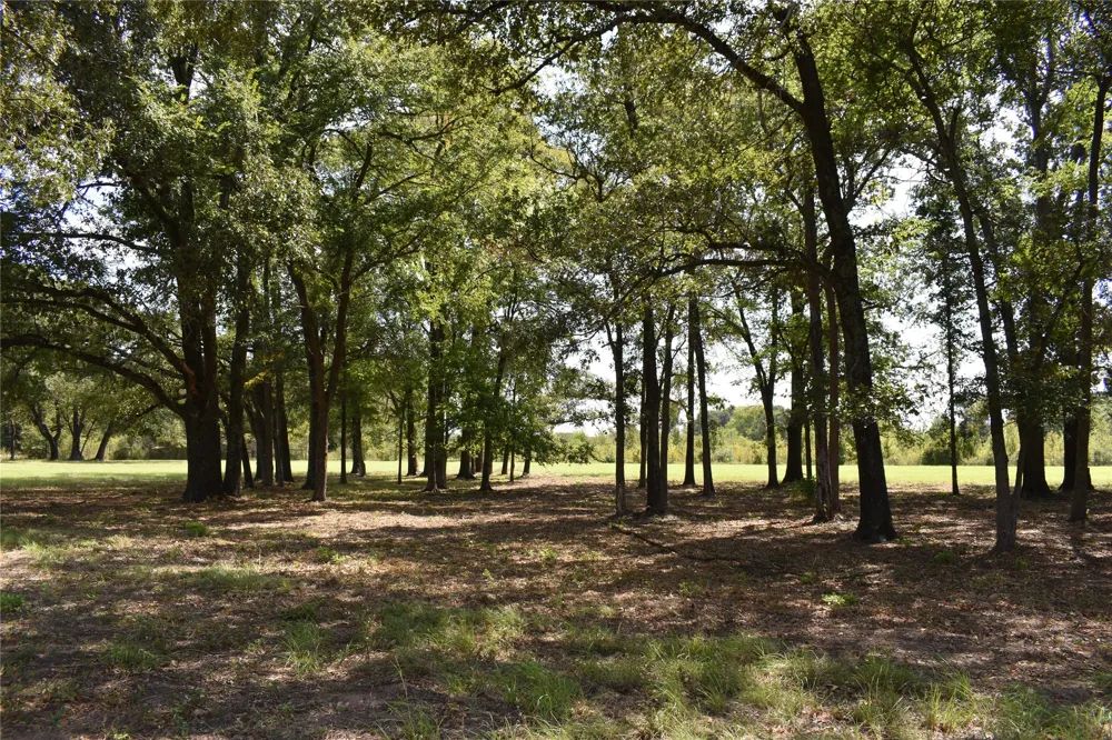 951 County Road 3800 Athens, TX 75752