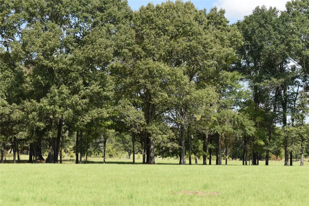 951 County Road 3800 Athens, TX 75752