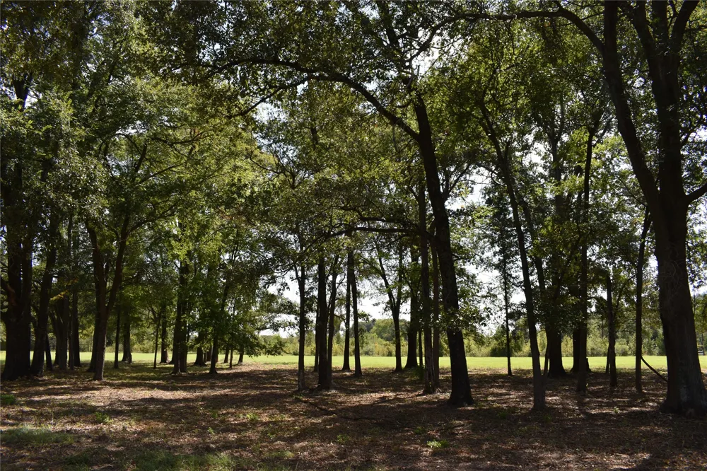 951 County Road 3800 Athens, TX 75752