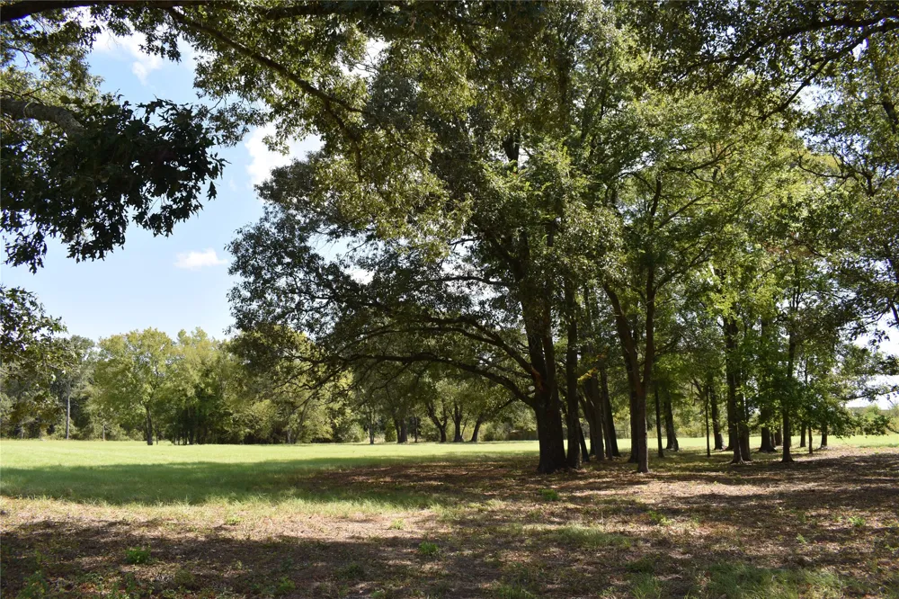 951 County Road 3800 Athens, TX 75752