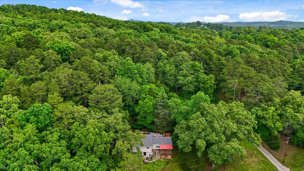 16211 Lakewood Drive Sale Creek, TN 37373