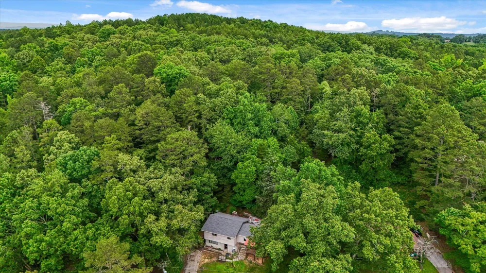 16211 Lakewood Drive Sale Creek, TN 37373