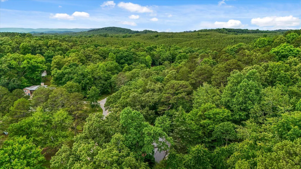 16211 Lakewood Drive Sale Creek, TN 37373