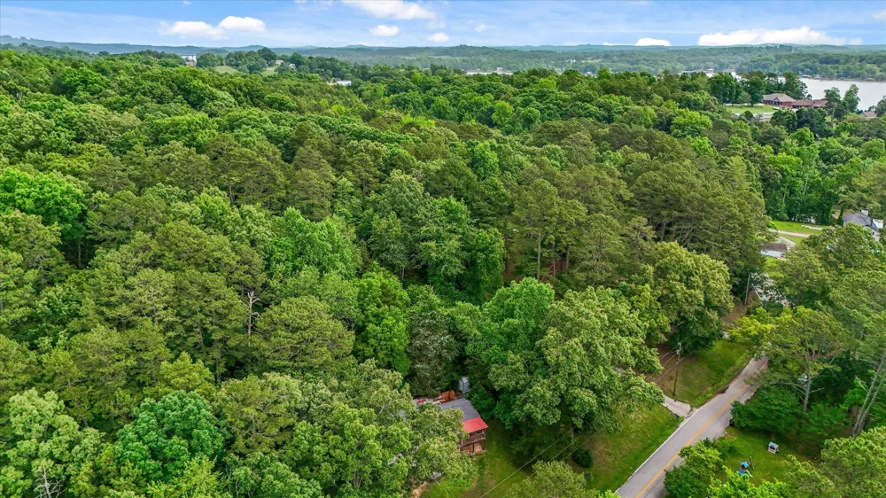 16211 Lakewood Drive Sale Creek, TN 37373