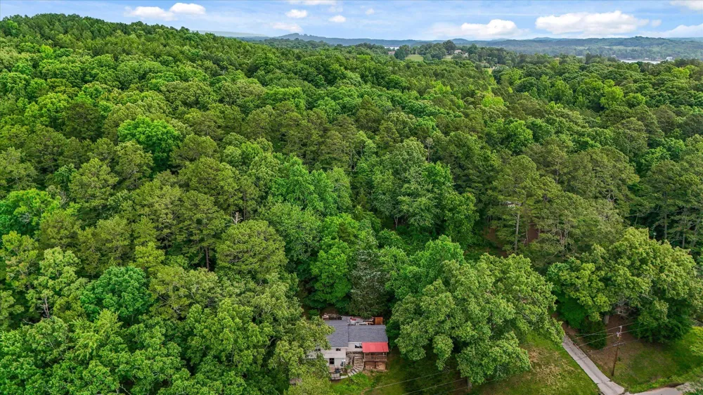 16211 Lakewood Drive Sale Creek, TN 37373