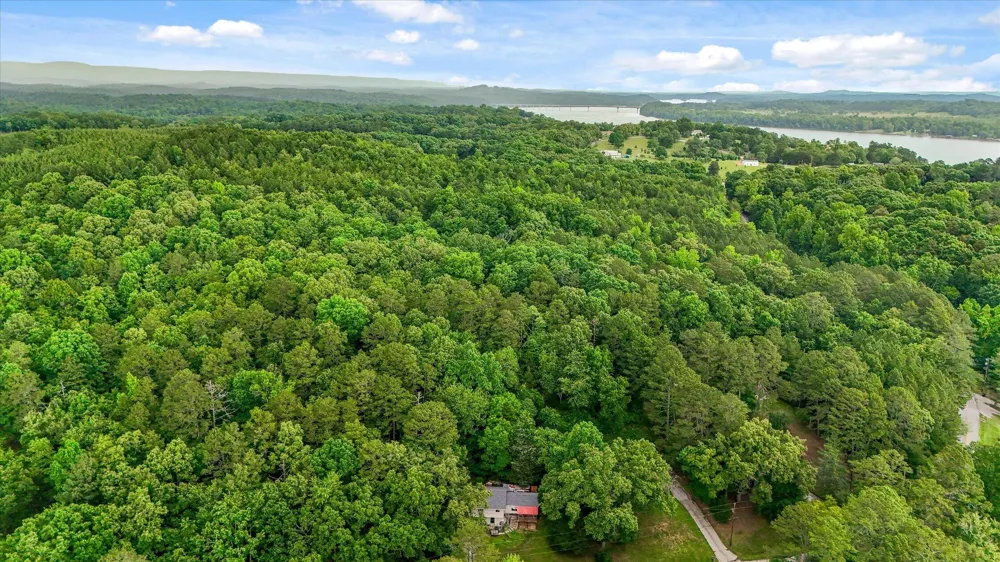 16211 Lakewood Drive Sale Creek, TN 37373