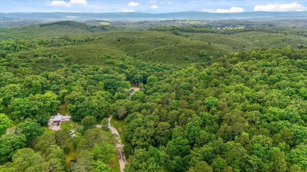 16211 Lakewood Drive Sale Creek, TN 37373