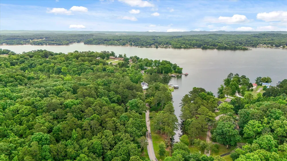 16211 Lakewood Drive Sale Creek, TN 37373