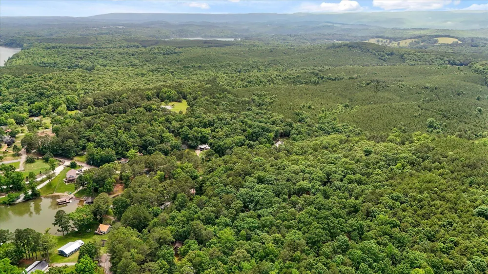 16211 Lakewood Drive Sale Creek, TN 37373