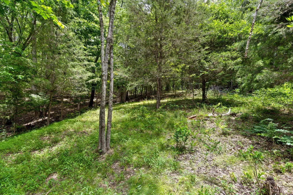 16211 Lakewood Drive Sale Creek, TN 37373