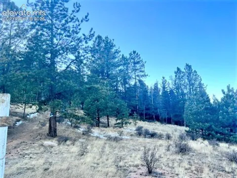233 Rabbil Creek Trail