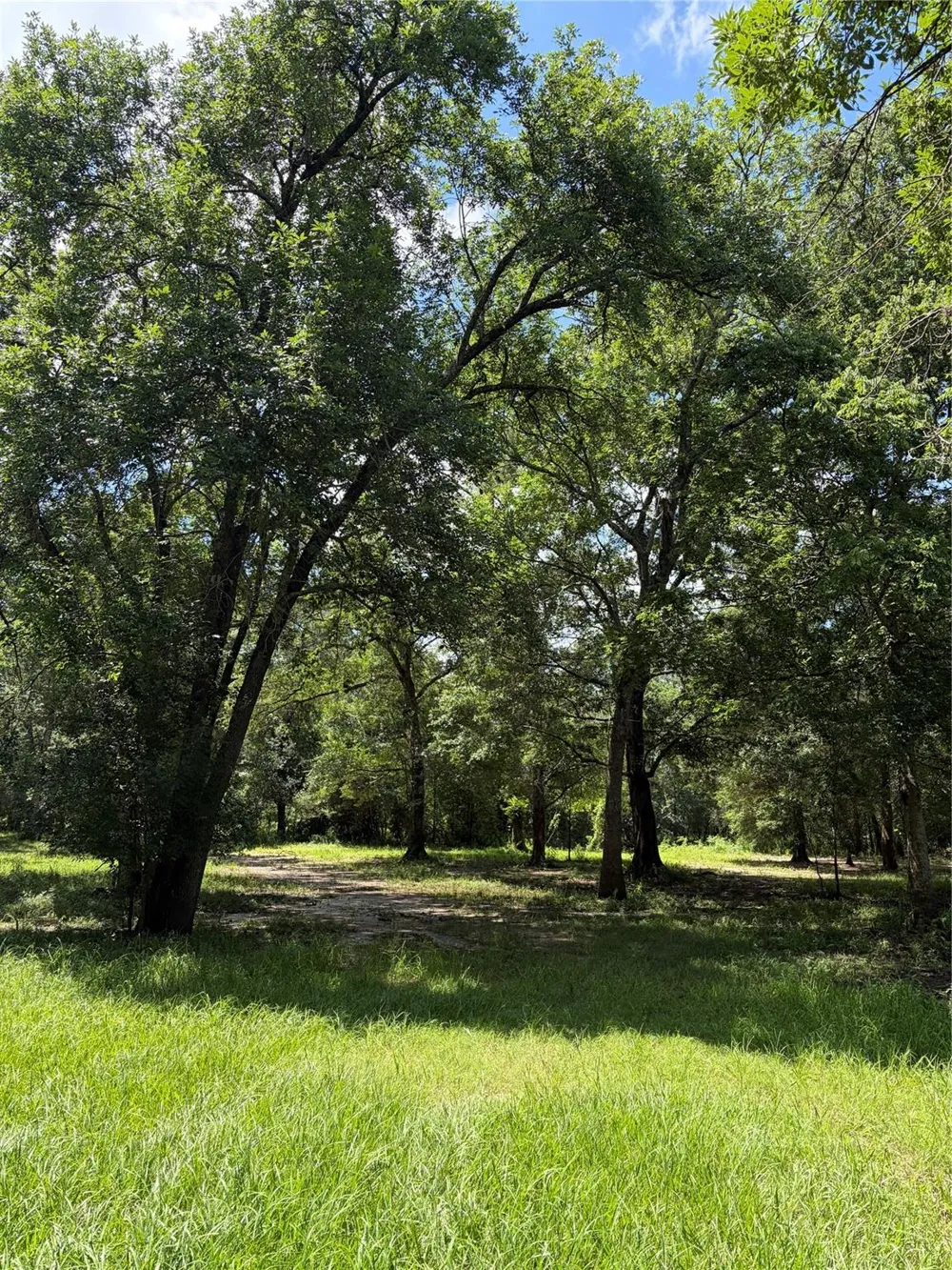 1711 Eagle Nest Acres Drive Wallis, TX 77485