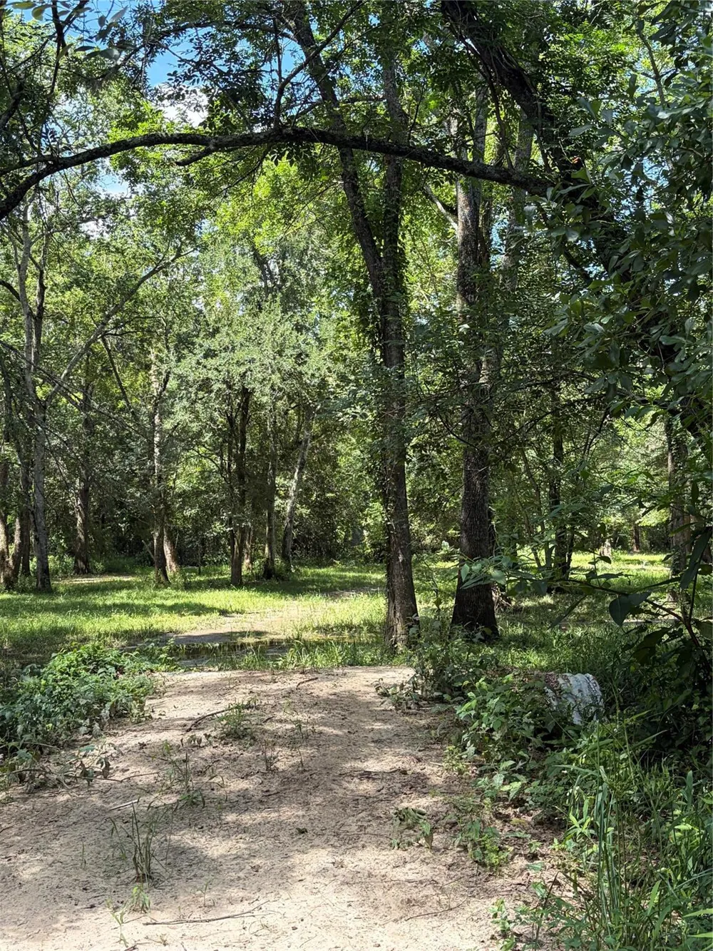 1711 Eagle Nest Acres Drive Wallis, TX 77485