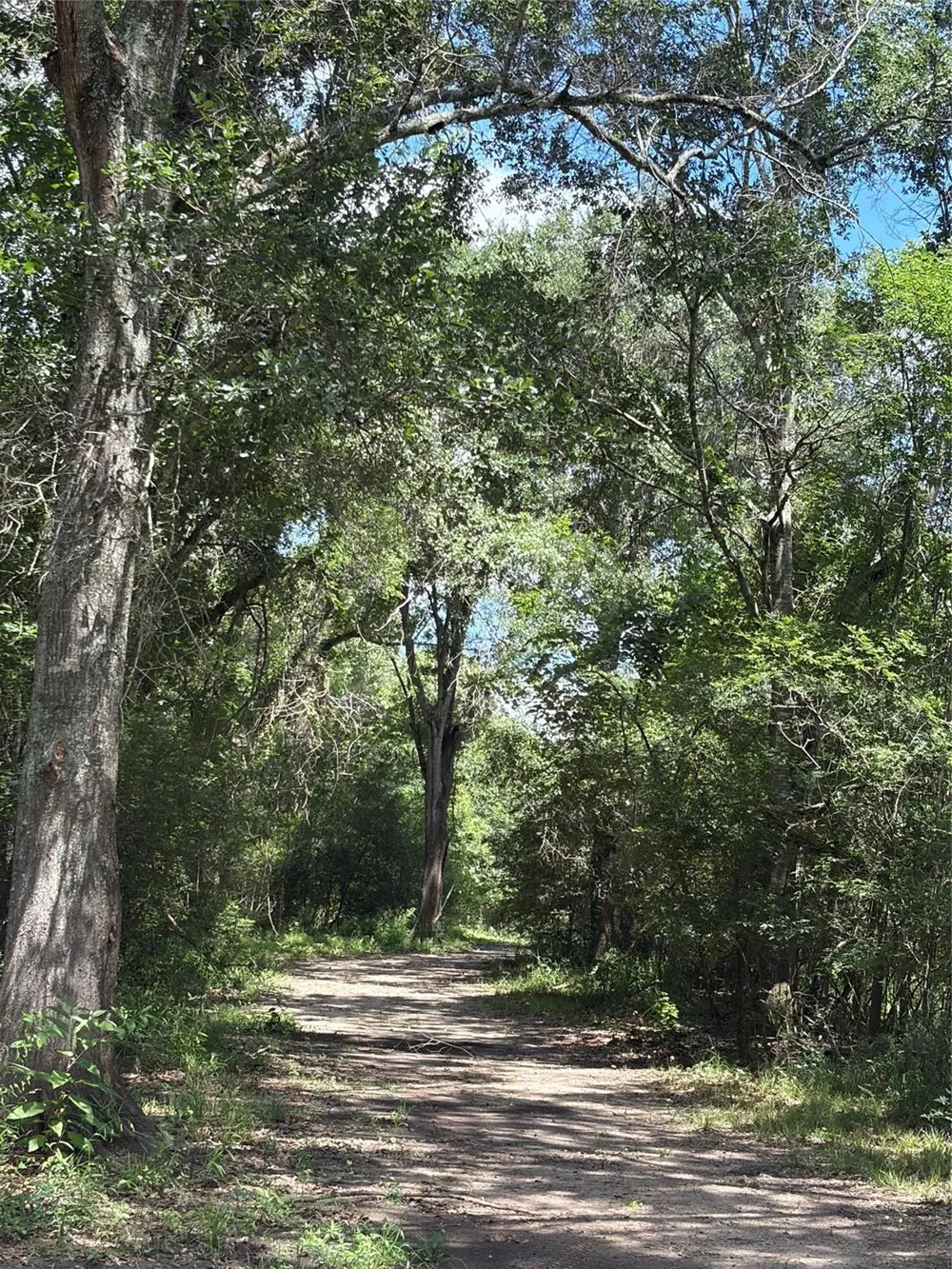 1711 Eagle Nest Acres Drive Wallis, TX 77485
