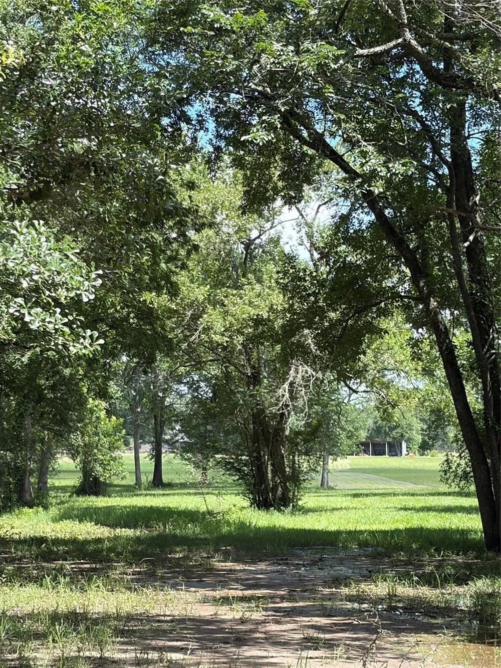 1711 Eagle Nest Acres Drive Wallis, TX 77485