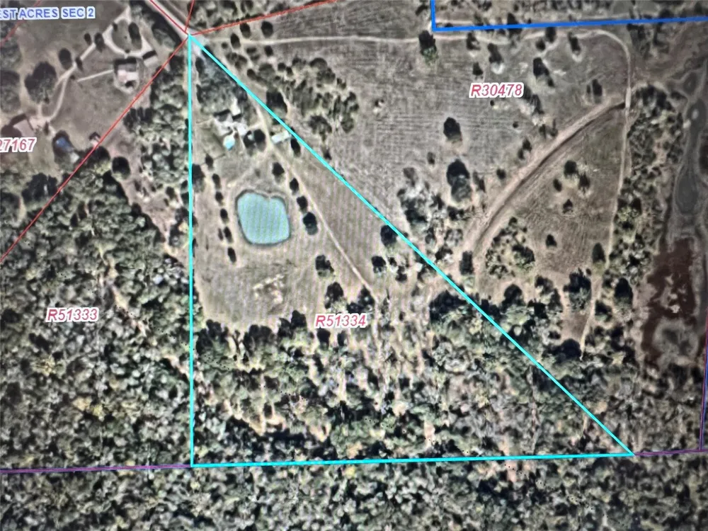 1711 Eagle Nest Acres Drive Wallis, TX 77485