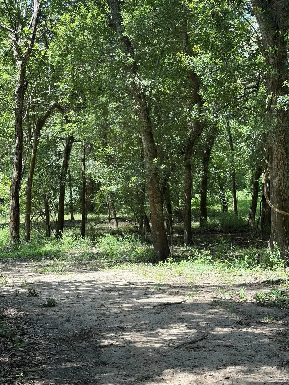 1711 Eagle Nest Acres Drive Wallis, TX 77485