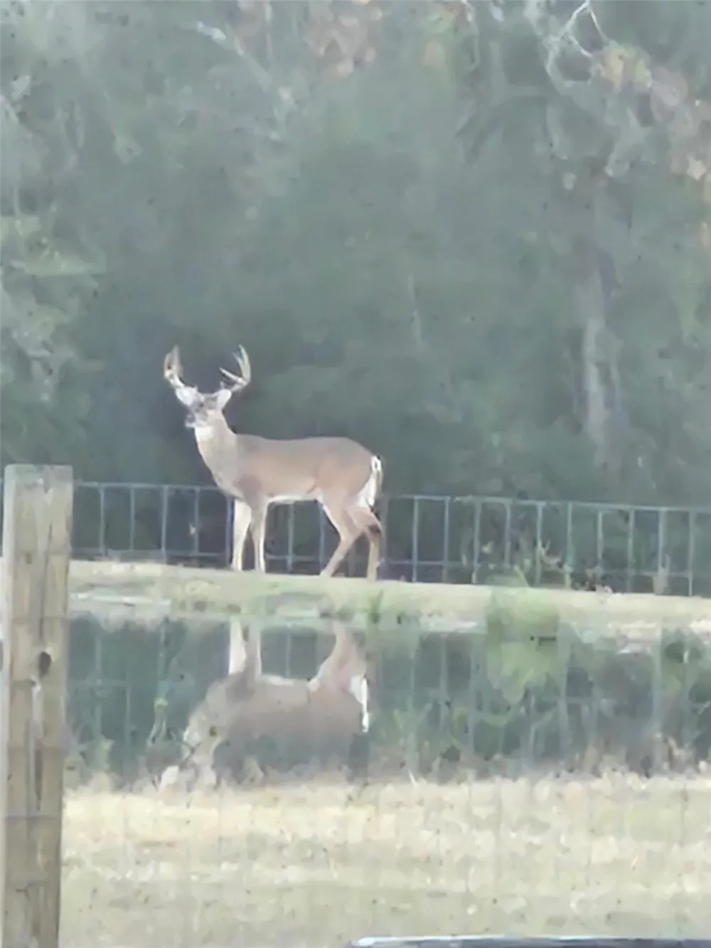 1711 Eagle Nest Acres Drive Wallis, TX 77485