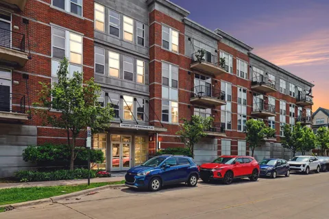 66 Winder Street #339
