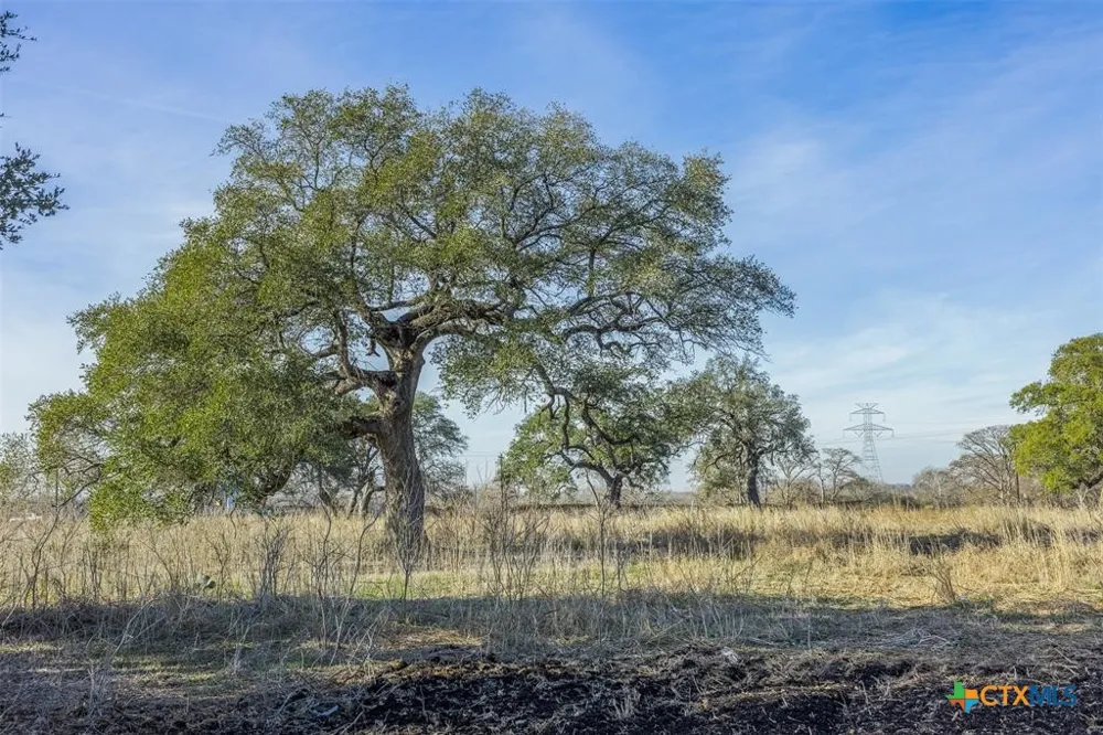 600 River Road Martindale, TX 78655