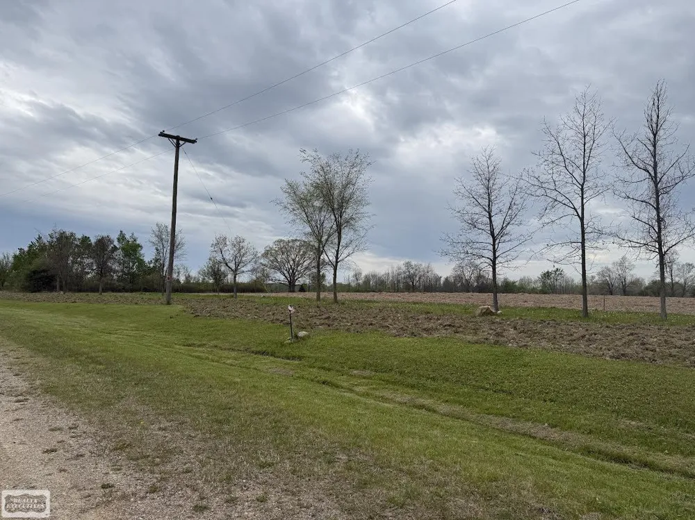 610 Windmill Lane Imlay City City, MI 48444
