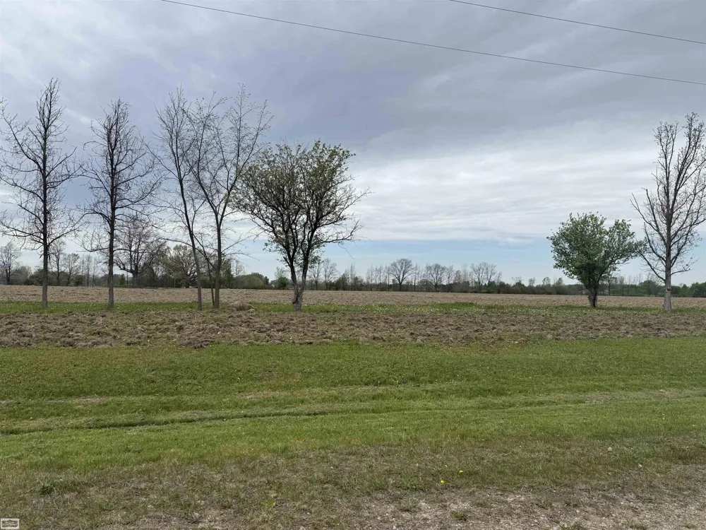 610 Windmill Lane Imlay City City, MI 48444