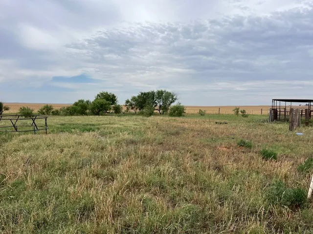 758 County Road 317 Rotan, TX 79546