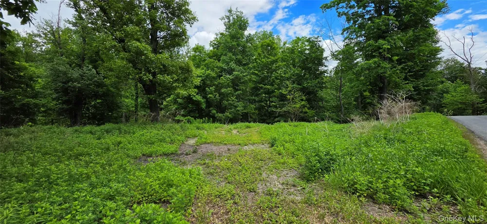 Address Not Shown Wurtsboro, NY 12790