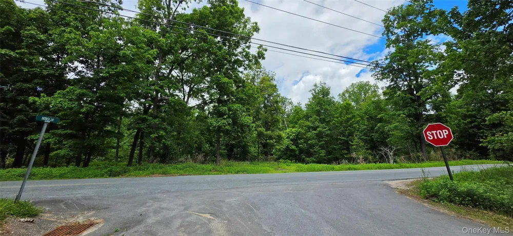 Address Not Shown Wurtsboro, NY 12790