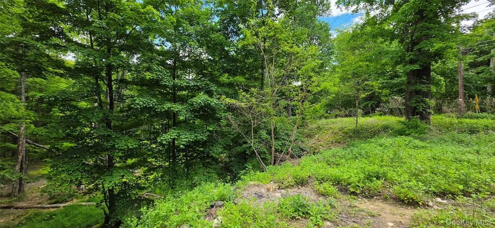 Address Not Shown Wurtsboro, NY 12790