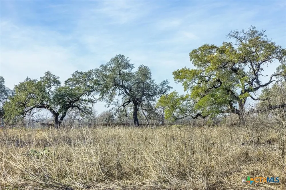 600 River Road Martindale, TX 78655