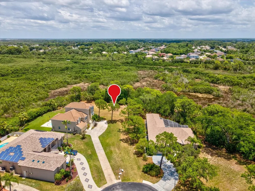 3046 SHEPPARDS CROOK CT Holiday, FL 34691
