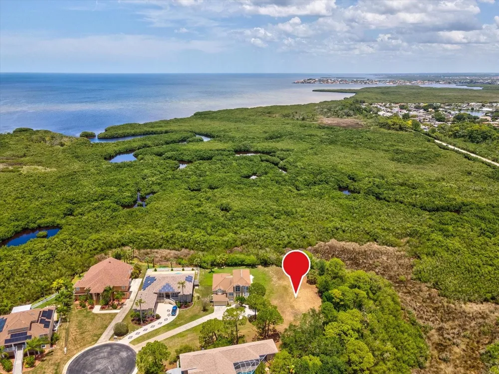 3046 SHEPPARDS CROOK CT Holiday, FL 34691