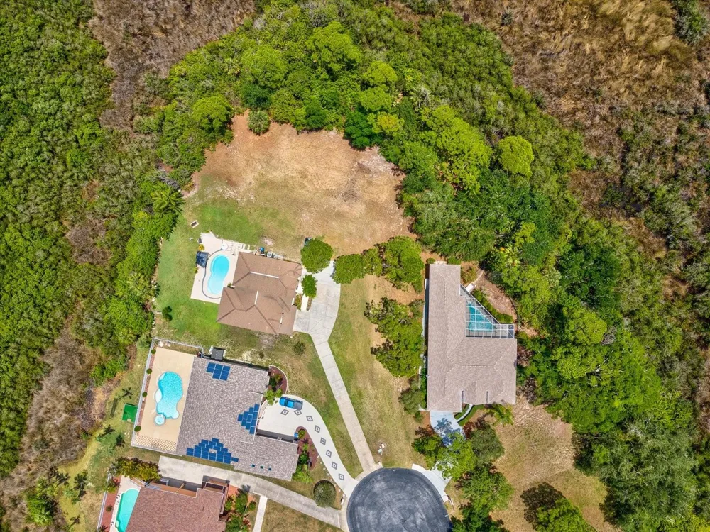 3046 SHEPPARDS CROOK CT Holiday, FL 34691