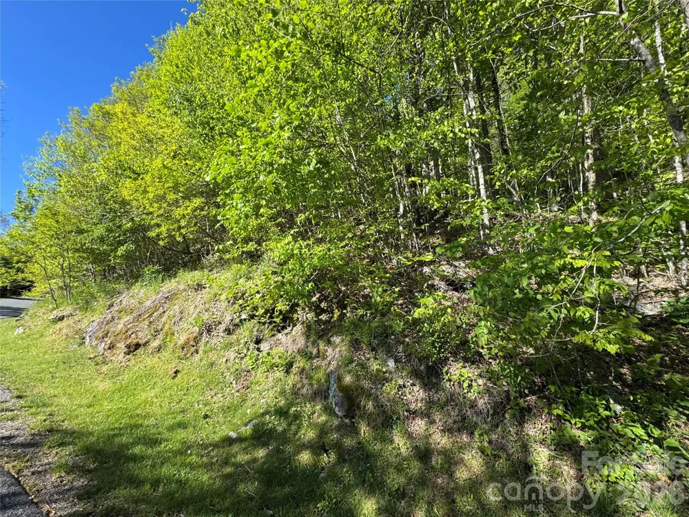 21 Overlook Drive #21/23 Mars Hill, NC 28754