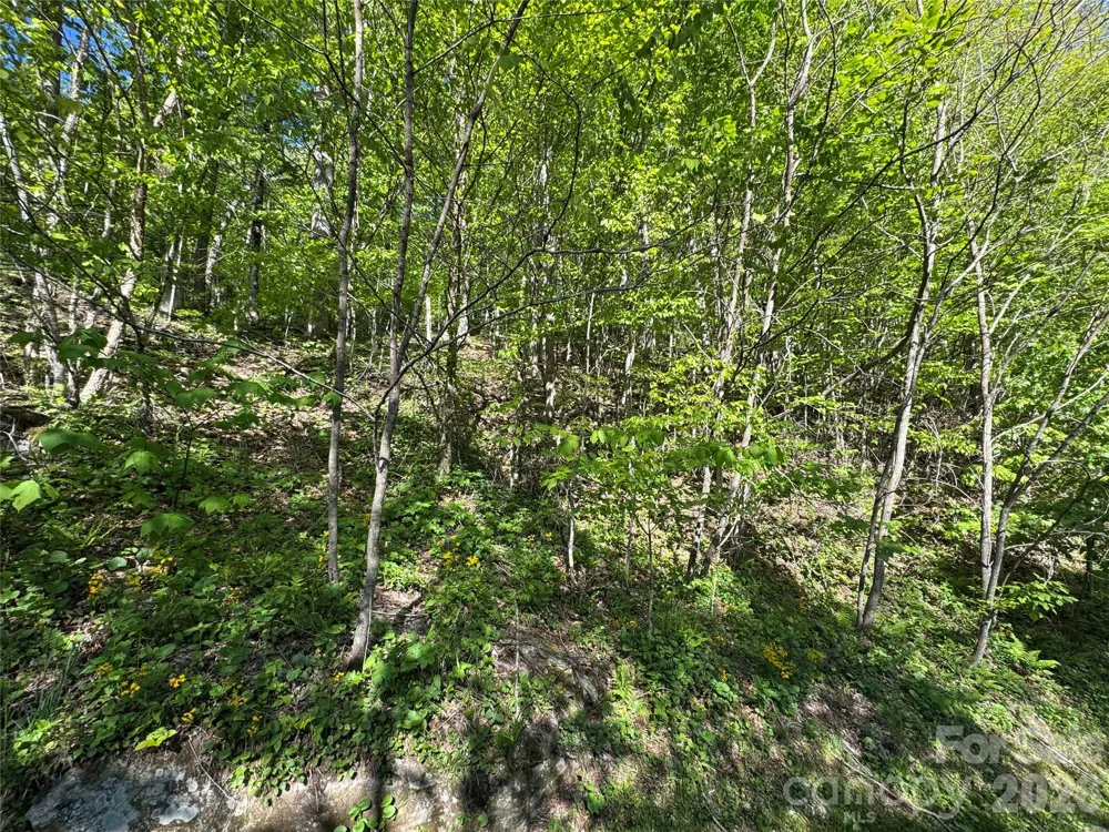 21 Overlook Drive #21/23 Mars Hill, NC 28754