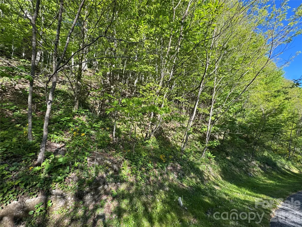 21 Overlook Drive #21/23 Mars Hill, NC 28754
