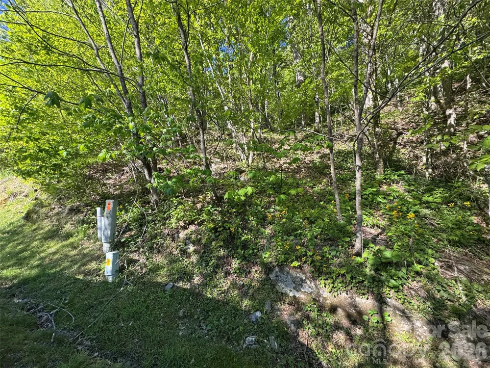 21 Overlook Drive #21/23 Mars Hill, NC 28754
