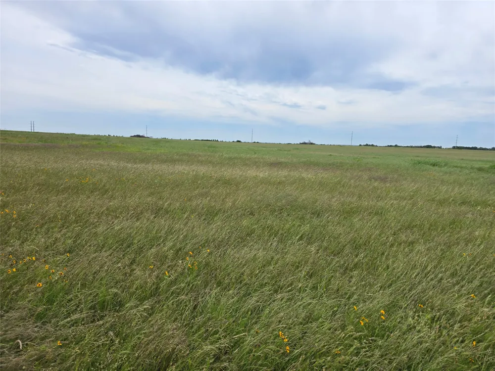 1401 CR 144 Jarrell, TX 76537