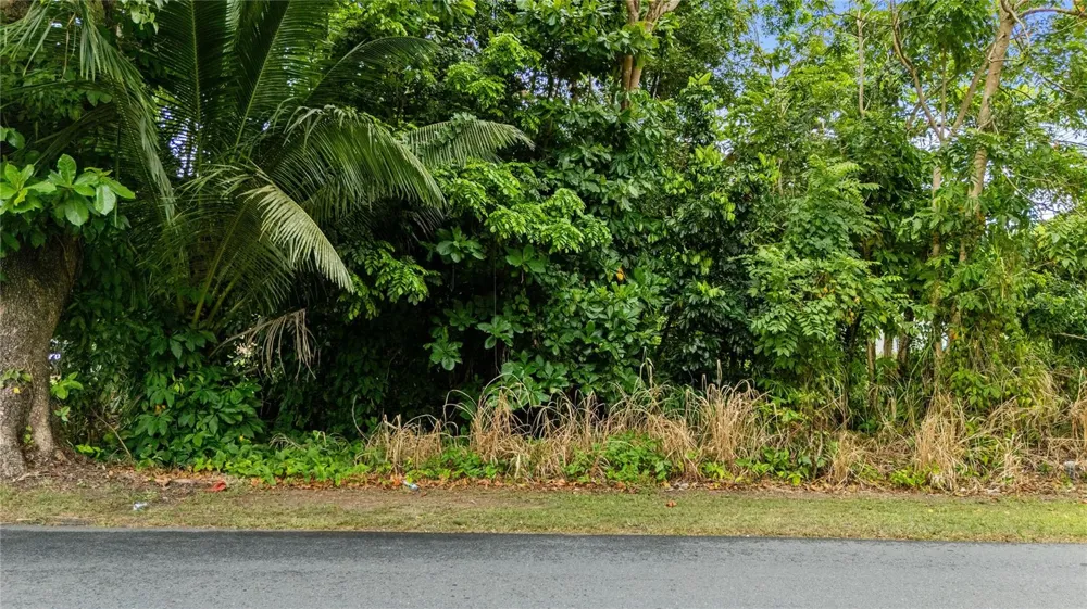 6685 ESTATAL ROAD Manati, PR 00674