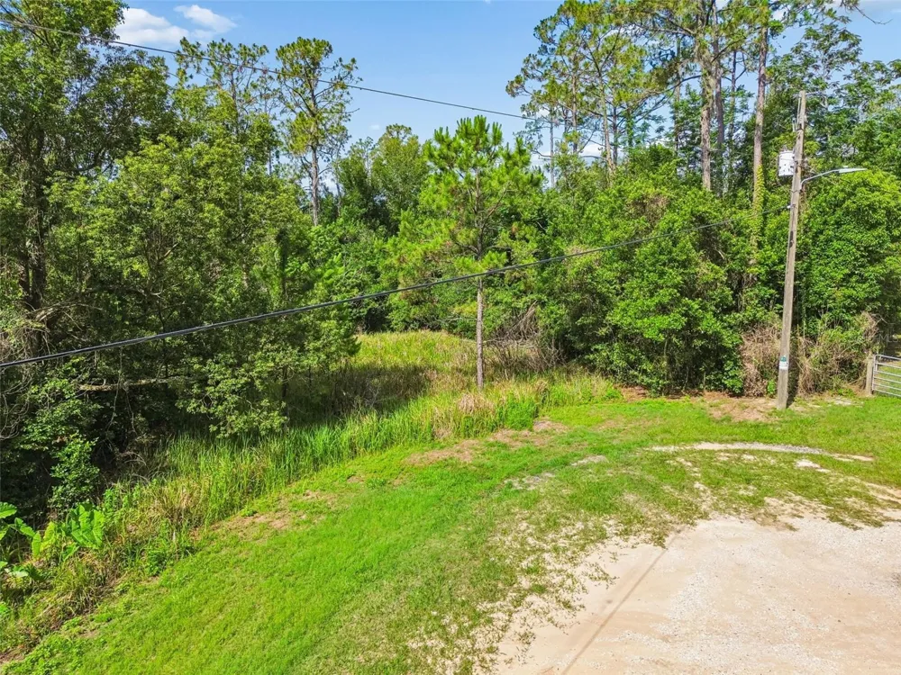 00 HAMRICH Dade City, FL 33525