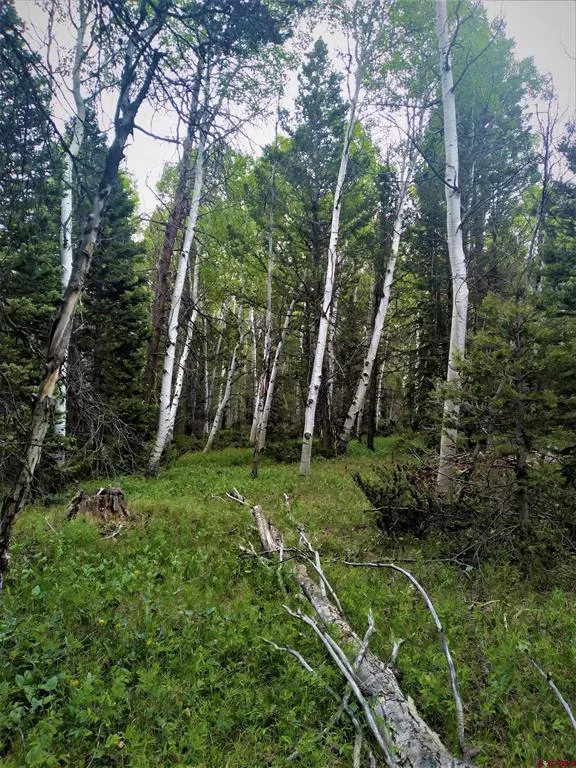 525 Crest Drive Cimarron, CO 81220
