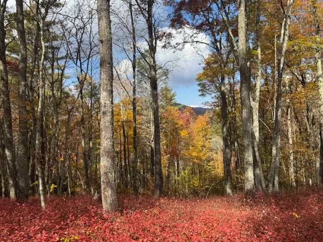 00 Blazing Star Trail Glenville, NC 28736